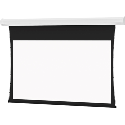 daylite projection screen