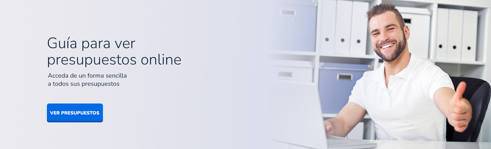 Guia para ver presupuestos online